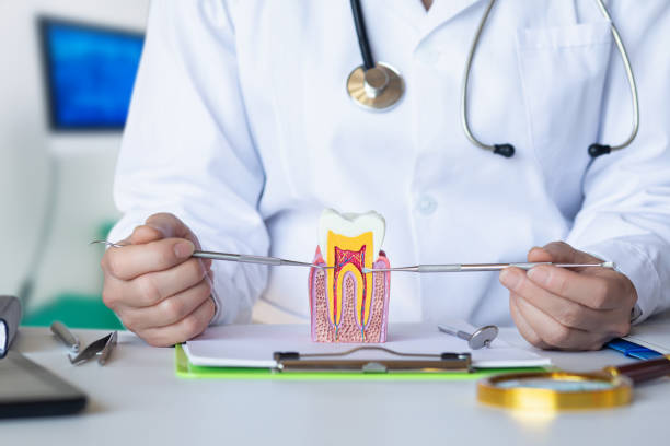 Best Broken or Cracked Tooth Emergency Dentist in Ecorse, MI